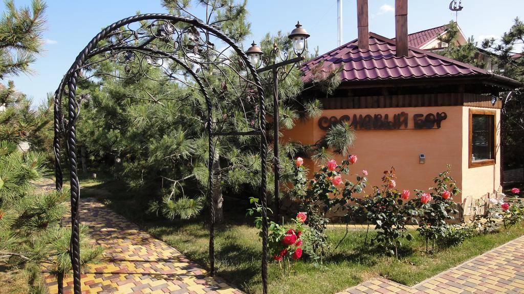 Villa Sosnovy Bor Zatoka Exterior foto