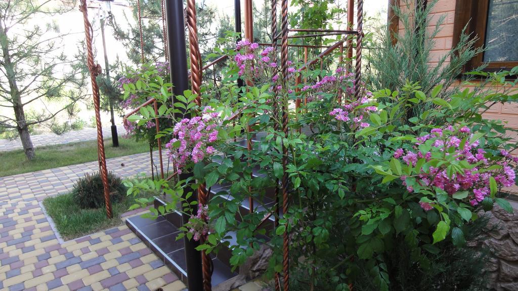 Villa Sosnovy Bor Zatoka Exterior foto