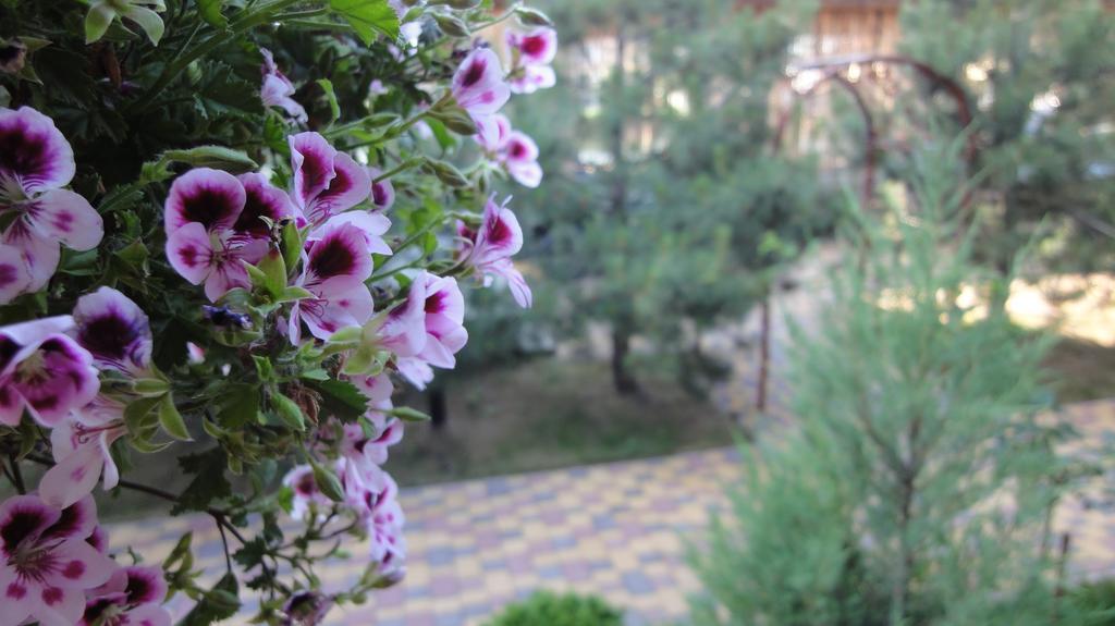Villa Sosnovy Bor Zatoka Exterior foto